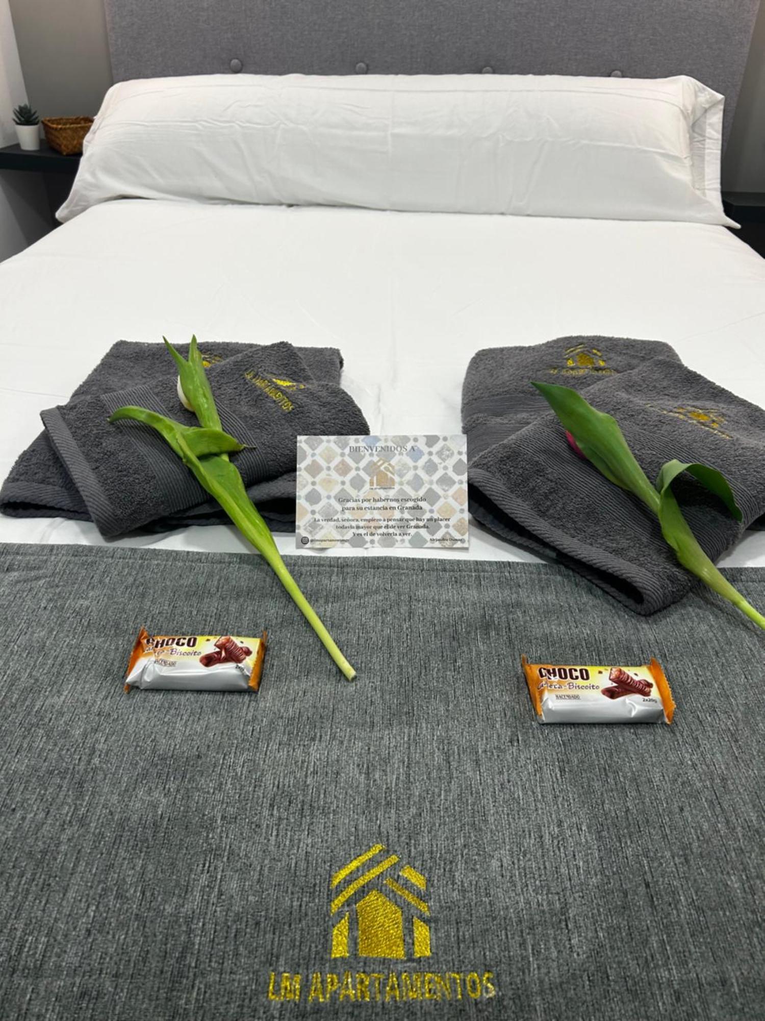 Lm Apartamentos Puentezuelas Granada Exteriör bild